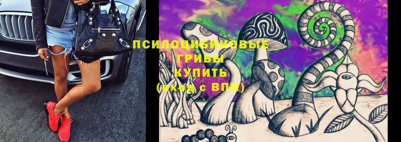 Псилоцибиновые грибы Magic Shrooms  МЕГА онион  Алушта  наркотики 